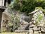Immagine 29