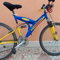bicicletta 