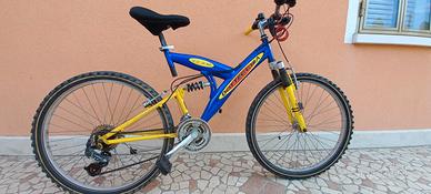 bicicletta 