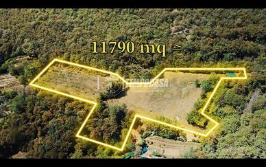 Terreno agricolo di 11.000 mq - oltre un ettaro!!!