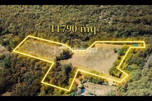 Terreno agricolo di 11.000 mq - oltre un ettaro!!!
