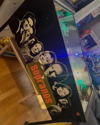 Flipper stern sopranos full led