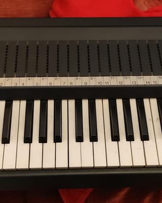 Golden organ antonelli pianola