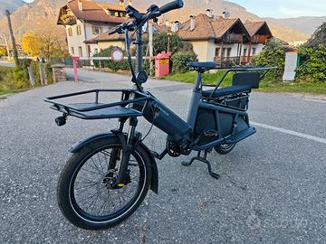 Bicicleta porta bambini 