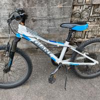 Bici da 20”