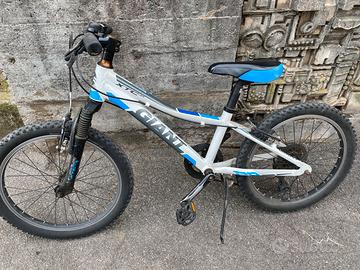 Bici da 20”