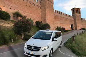 mercedes  V 220 D