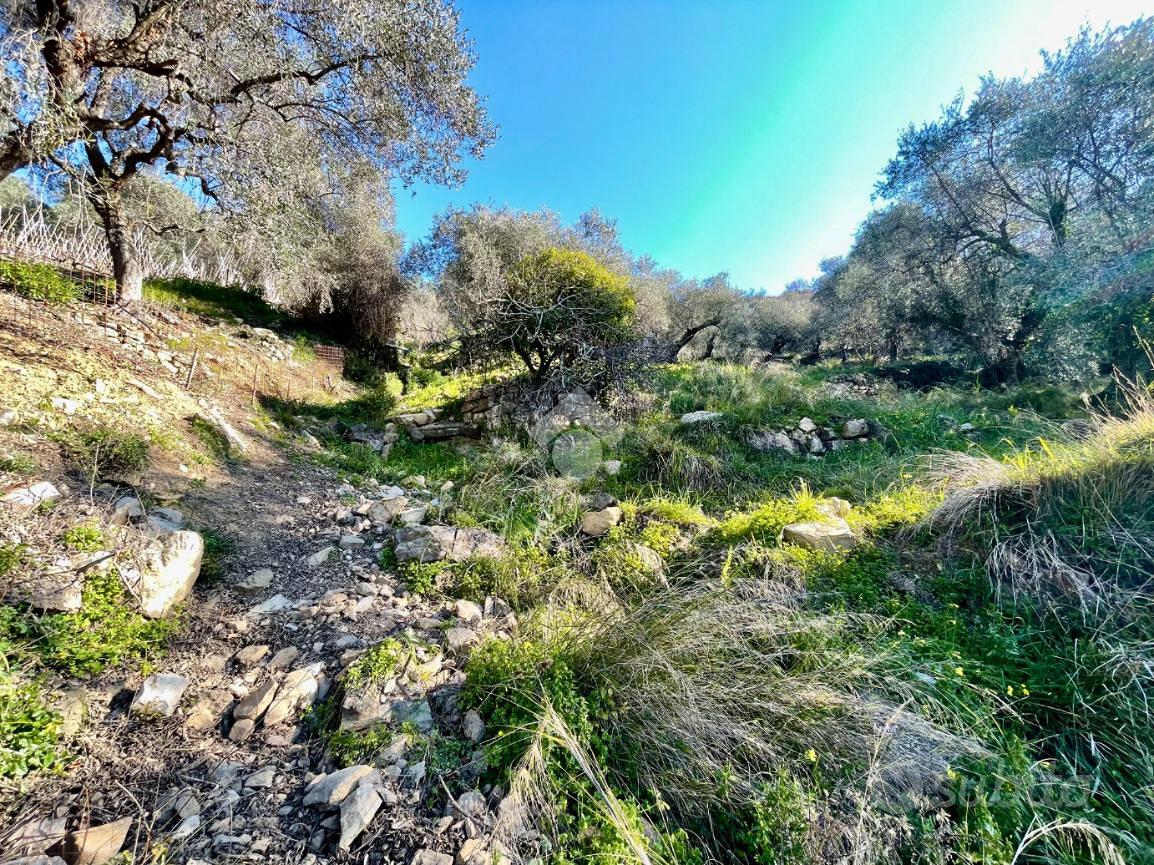 TER. AGRICOLO A SANREMO - Altro