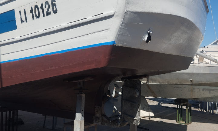 Barche da pesca con licenza