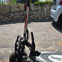 Monopattino Raycool