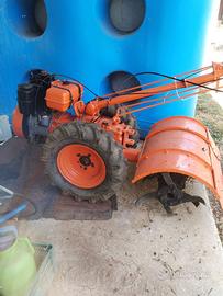 Motocoltivatore agricolo Bertolini
