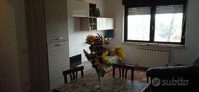 Ammobiliato Fiumicino a non residenti