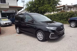 Ford Tourneo Connect 2.0 EcoBlue 122 CV Titanium