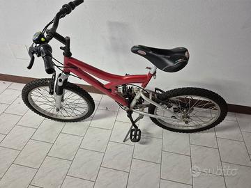 bicicletta 