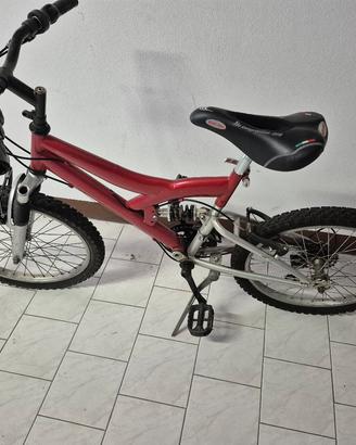 bicicletta 
