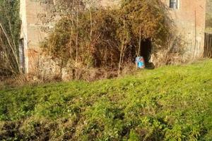 Rustico / Casale di 1180 m² con più di 5 locali e 