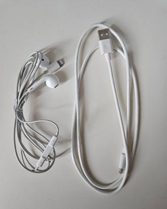 Cavo ricarica e auricolari iPhone