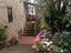 Immagine 10