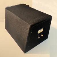 Sub Woofer da auto AXIOM BG-251M