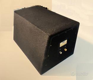 Sub Woofer da auto AXIOM BG-251M