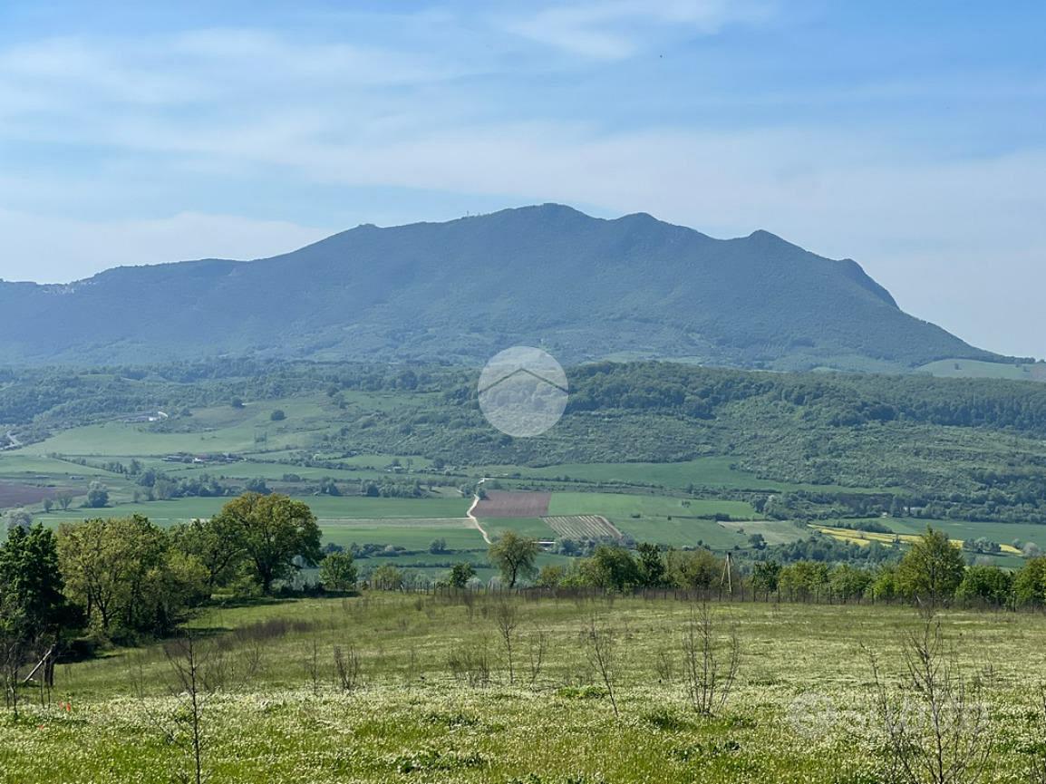 TER. AGRICOLO A COLLEVECCHIO - Altro