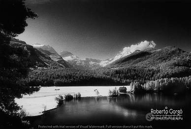 Fotografia Infrarosso Engadina Lago di Sils 21X30