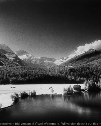 Fotografia Infrarosso Engadina Lago di Sils 21X30