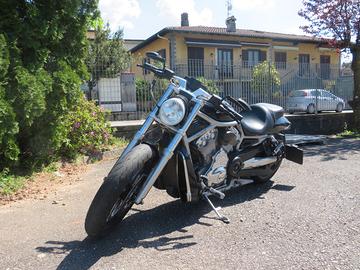 HARLEY 1250 V-ROD