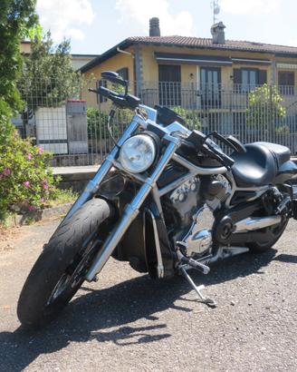 HARLEY 1250 V-ROD