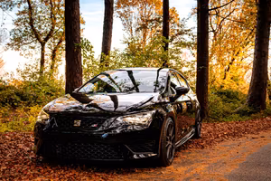 Seat Leon Cupra 5F 265 CV (superbollo 60 euro)