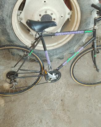 Bici da corsa