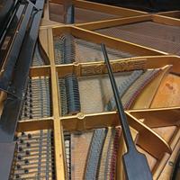 Pianoforte Codino