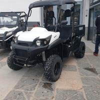 Aeon Cube 300 UTV - 2011