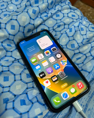 iPhone X