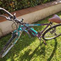 Mountain bike