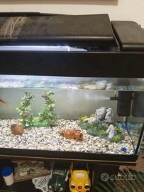 acquario completo 100L 