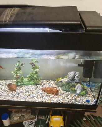 acquario completo 100L 