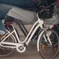bici elettrica 