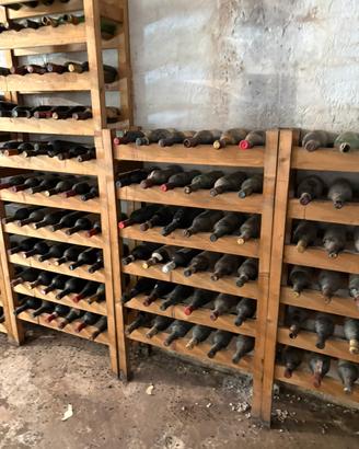 cantina di vini