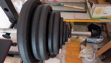 Dischi ghisa 100kg