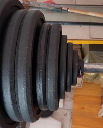 Dischi ghisa 100kg
