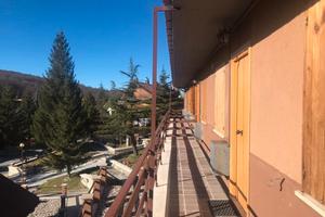 Delizioso appartamento