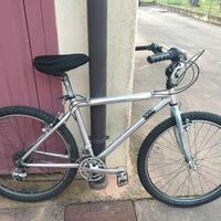bicicletta alluminio 