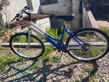 bicicletta