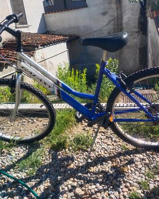 bicicletta