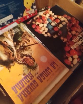 Lotto di Libri, Fumetti e collezionismo cartaceo 