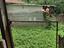 Immagine 15