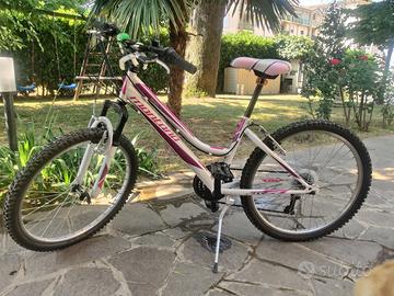 Bici mtb bambina 24