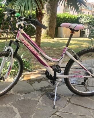 Bici mtb bambina 24