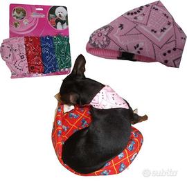 Collare con bandata cane cani taglia piccola